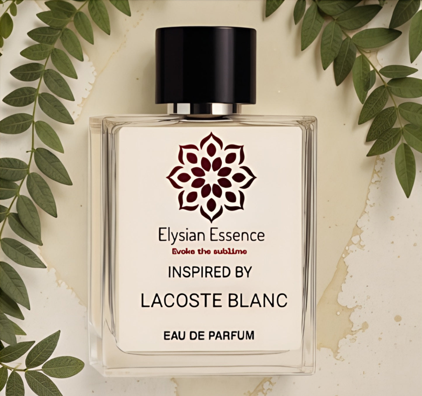 Inspired by Lacoste Blanc